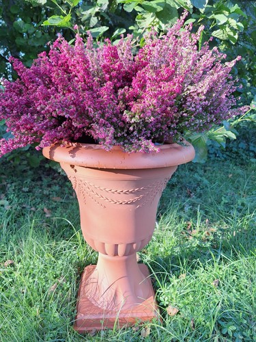 Blumentopf mit untertasse - mit,