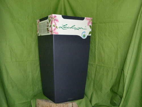 Lechuza cubico color trend - color, 30