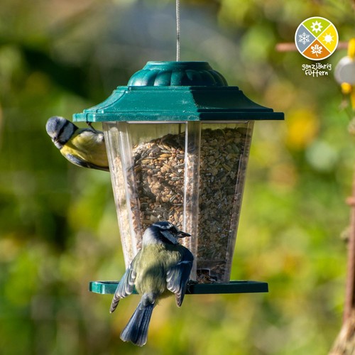Vogelfutterspender